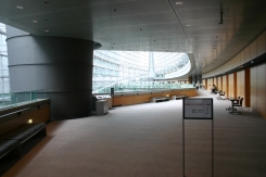 国際フォーラム